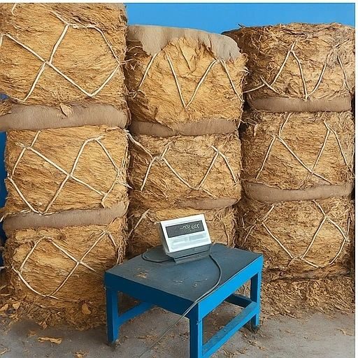 Packed tobacco bales beside a weighing scale