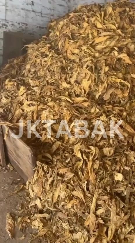 Tobacco leaf lot photograph