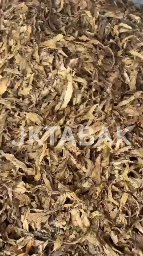 Tobacco leaf lot photograph