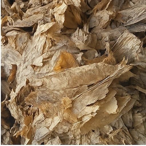 Scraps & stems
